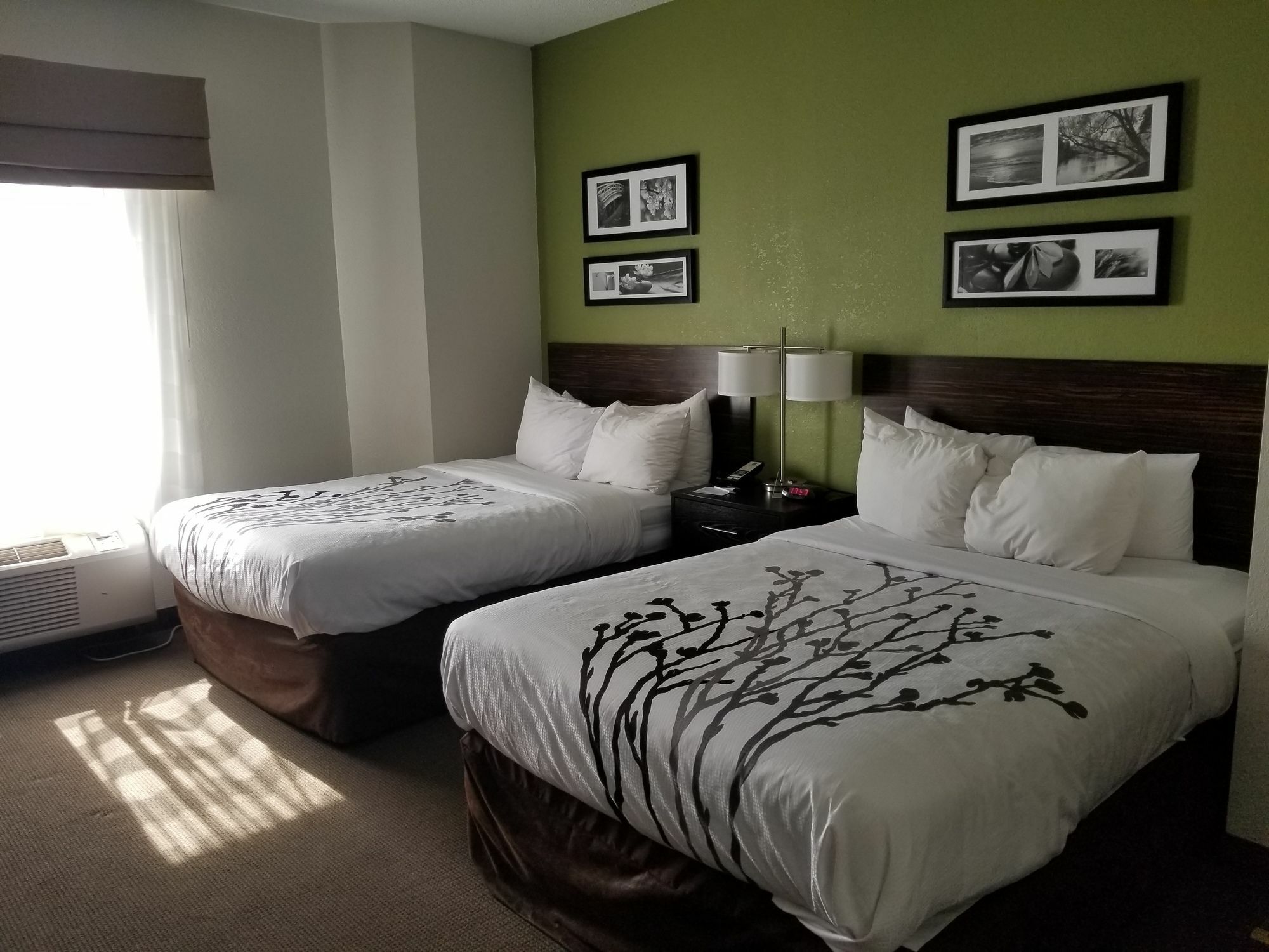 Sleep Inn Walterboro I-95 Экстерьер фото